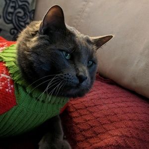 Meet your Posher, Cara